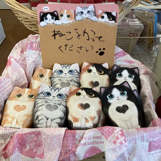 コフレ　シャトン　クリスピーチョコミックス